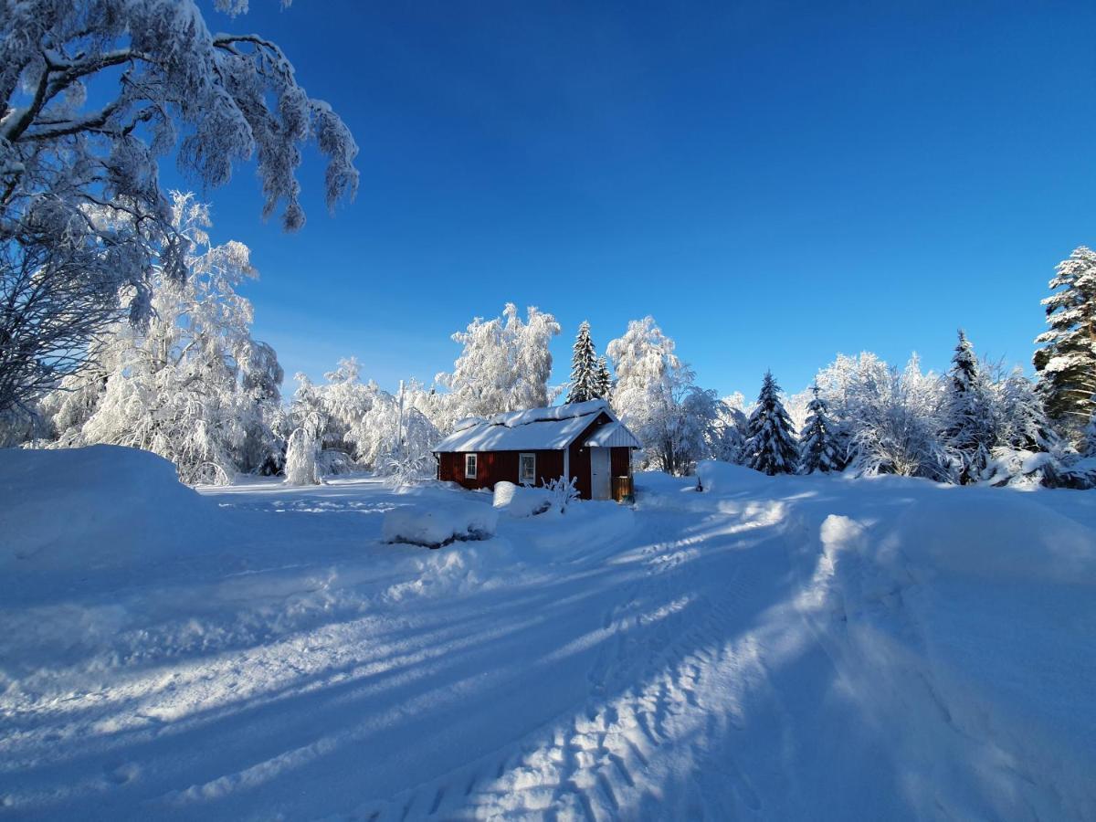 Guesthouse 'Lodge Lagom' ~ Hammarstrand-Jämtland Extérieur photo