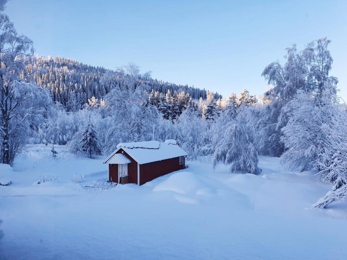 Guesthouse 'Lodge Lagom' ~ Hammarstrand-Jämtland Extérieur photo