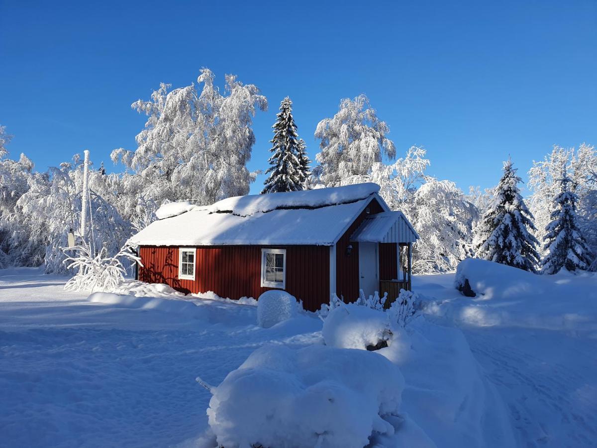Guesthouse 'Lodge Lagom' ~ Hammarstrand-Jämtland Extérieur photo